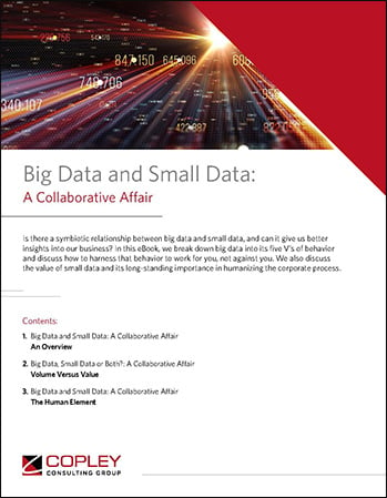 COPLEY-eBook-BigDataSmallData 349x449