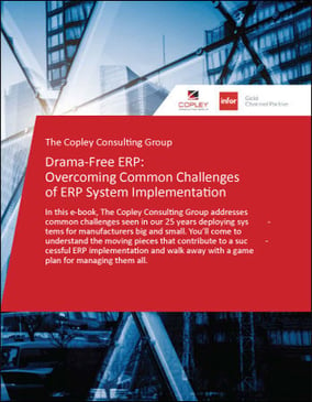 EBook-Drama-Free-ERP-349x449