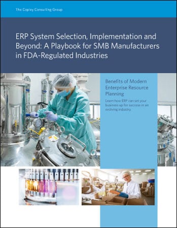 FDA-SMB-ERP-System-Selection-Implementation-and-Beyond-349x449